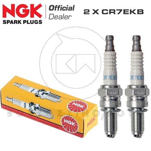 Candela ngk cr7ekb gilera - ngk, gp